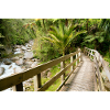 Wainui River Wooden Bridge–Scenic Crossing