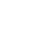 Flag USA Wisconsin State Gift