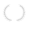 Letter h crown