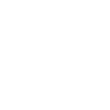Ökonom