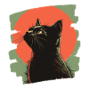 Black cat