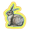 Bunny motif