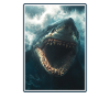 Sharks Shark