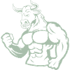 Taurus Fitness