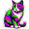 Chat