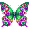 Papillon
