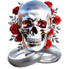 Skull with rings