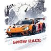 SNOW RACE