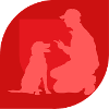 Dog Training Agility