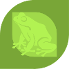Frog Pond