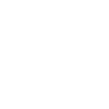 Gorille Boxer Fighter
