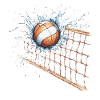 Volleyball on the net