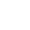 Elephant Boxer Fighter