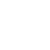 Rhino Boxer Fighter