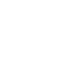 Combattant boxeur guépard