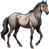Horse Animal