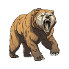 Bear Animal