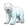 Polar Bear Animal
