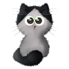 Cat 2