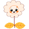 Sweet Flower