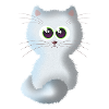 Cat 4