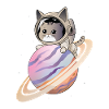 Chat de l’espace