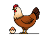 Poulets Poulets