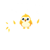 Birdwatcher Ornithology Vavian Enthusiast