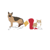 Pilates Coffee Dogs Repeat Fun