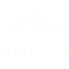 Poker Team 1