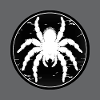 Tarentule arachnohole Grande tarentule