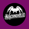 Tarentule arachnohole Grande tarentule