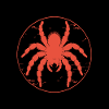Tarentule arachnohole Grande tarentule