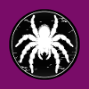 Tarentule arachnohole Grande tarentule