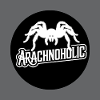 Tarentule arachnohole Grande tarentule