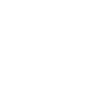 Surveyor