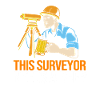 Surveyor
