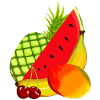 Fruit Fruit Exotic Fruits