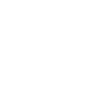 Goose