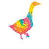 Goose