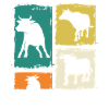 Bovins de buffle Bœufs