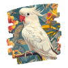 Cockatoo