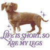 Dachshund Humor – Short Legs, Big Heart