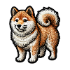 Signature Shiba Inu