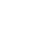 Leopard gecko