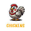 Chicken Chickens