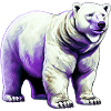White polar bear