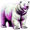 White polar bear