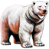 White polar bear