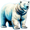 White polar bear